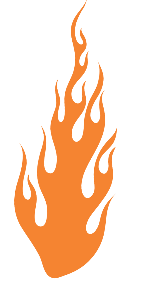 Orange Fire Logo