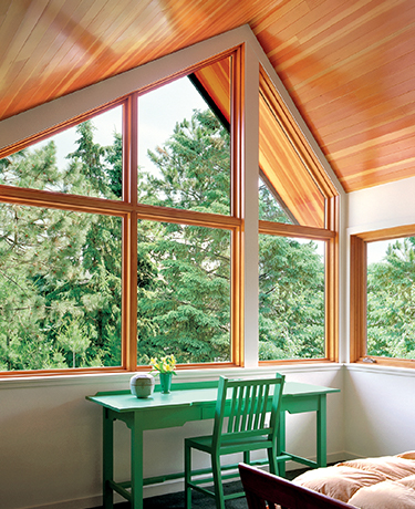 Specialty Shaped Windows